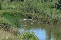 fiume roya