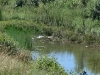 0723 Ventimiglia fiume Roya.jpg